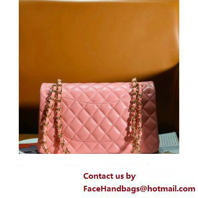 chanel Lambskin, Enamel  &  Gold-Tone Metal Classic Handbag A01112 pink 2024